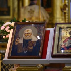 «Везет дуракам!»