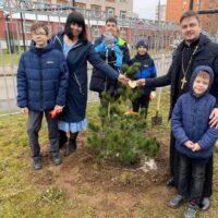 У семейства священнослужителя Псковской епархии появилось именное дерево у перинатального центра