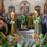 В день празднования Входа Господня в Иерусалим митрополит Арсений совершил Литургию в Свято-Троицком кафедральном соборе