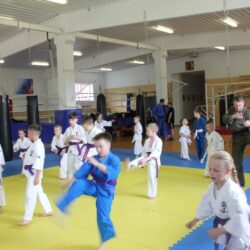 На базе православной «Дружины Довмонта» прошел выездной учебно-методический семинар Федерации по самообороне