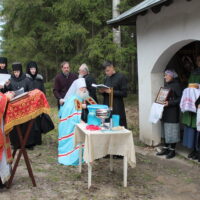 В праздник иконы Божией Матери «Живоносный Источник» у часовни Цареградской иконы Божией Матери был совершен водосвятный молебен 