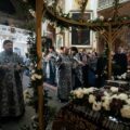 DSC01557-Улучшено-NR