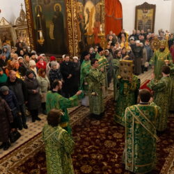 В празднование Входа Господня в Иерусалим митрополит Матфей совершил Литургию в кафедральном соборе