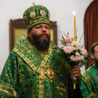 В канун праздника Входа Господня в Иерусалим митрополит Матфей возглавил всенощное бдение в Свято-Троицком кафедральном соборе