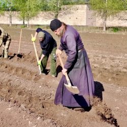 В Псково-Печерской обители продолжаются весенне-полевые работы