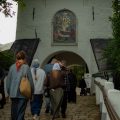 IMG_0 (9)